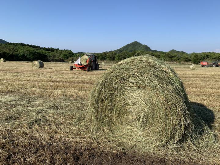 牧草を自給するということ