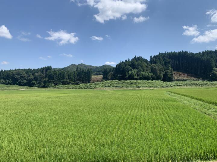 阿武町内の放牧の取り組み(福賀地区)