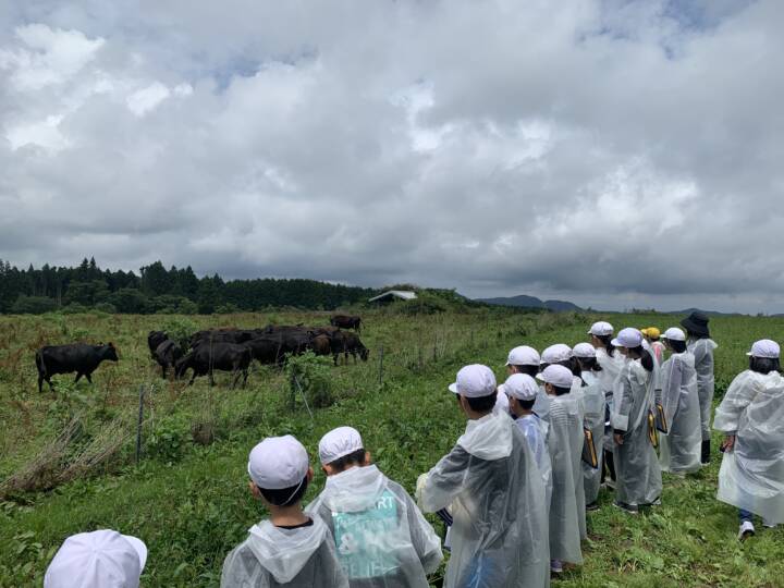 毎年恒例！地元の小学校との関わり合い